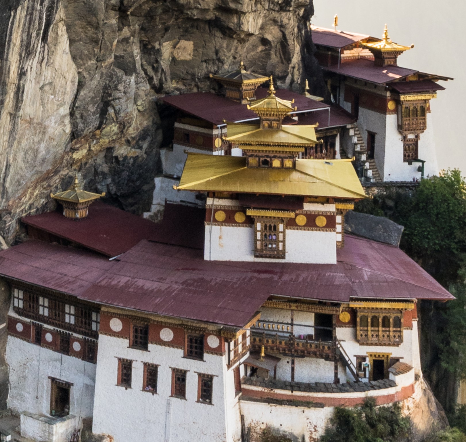 Paro